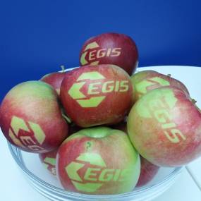 Egis-es almák