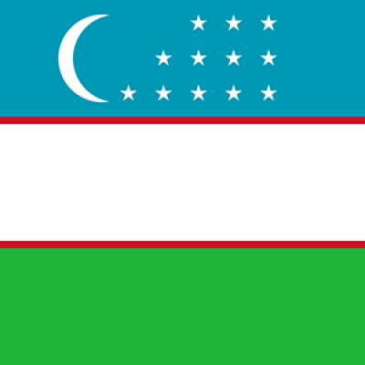 Üzbegisztán flag